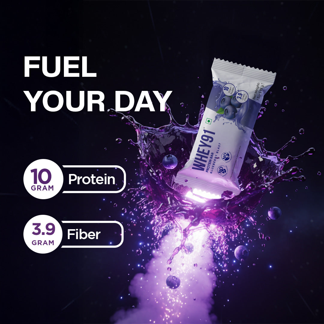 Whey91 Blueberry Blast Protein Bars - 10g protein, 3.9g fiber (Pack of 6 bars)