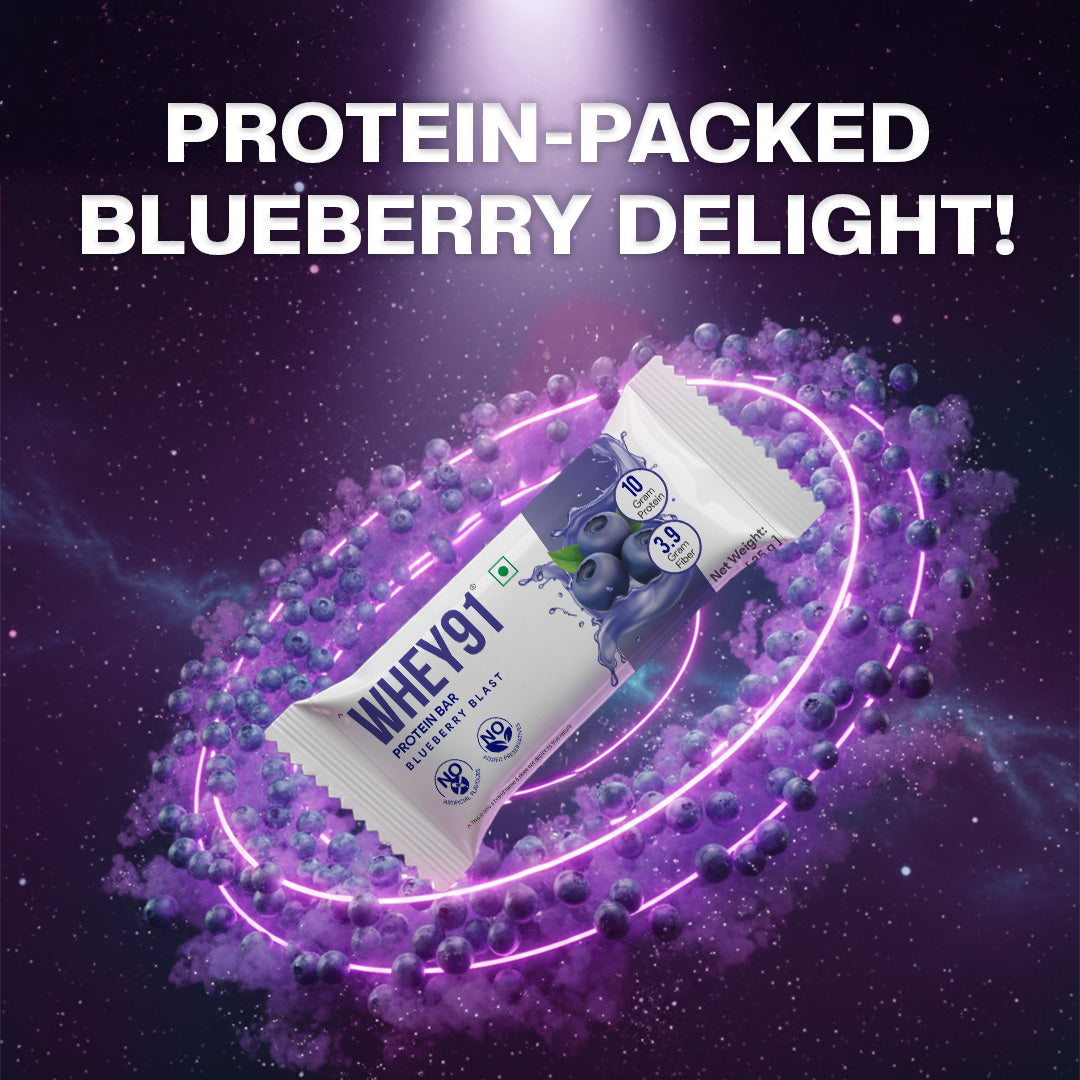 Whey91 Blueberry Blast Protein Bars - 10g protein, 3.9g fiber (Pack of 6 bars)