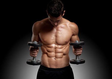 Building Muscle on a Budget: the Power of Whey91 and Protein Bars - Whey91.com