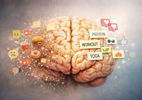 Your Brain Has a Delete Button: Healthy Habits to Support It
