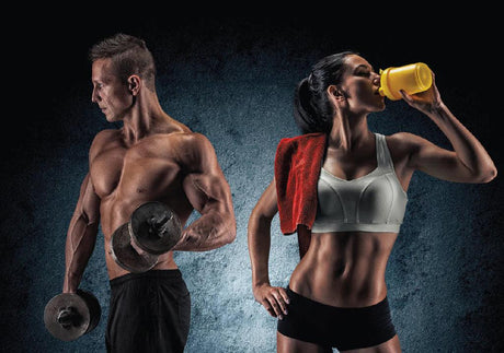 Sculpt your body with protein nutrition - Whey91.com