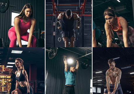 HOW WHEY91 CAN SUPPORT YOUR FITNESS GOALS - Whey91.com