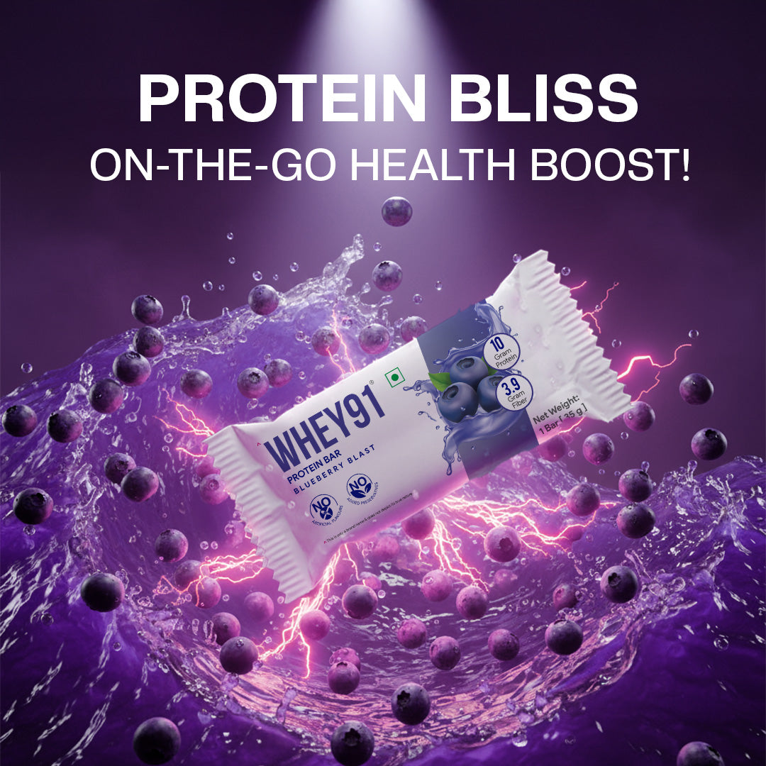 Whey91 Blueberry Blast Protein Bars - 10g protein, 3.9g fiber (Pack of 6 bars)